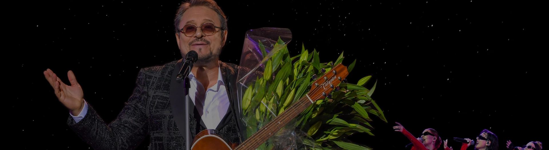 Концерт Владимира Маркина